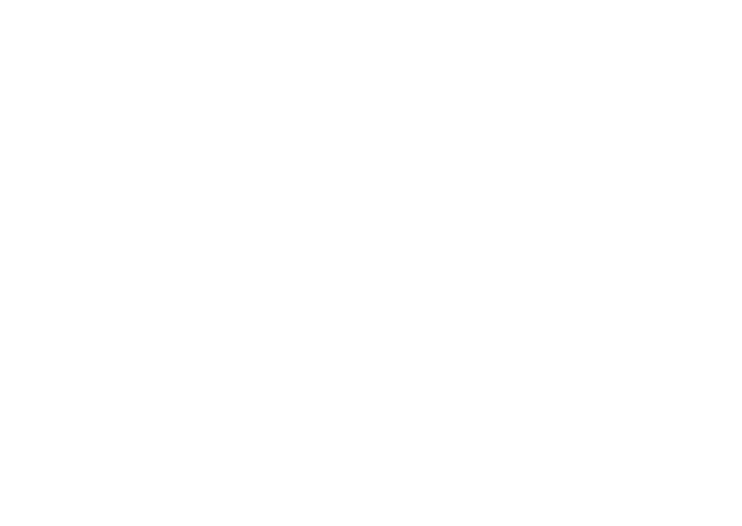 Arizona International Film Festival — Official Selection