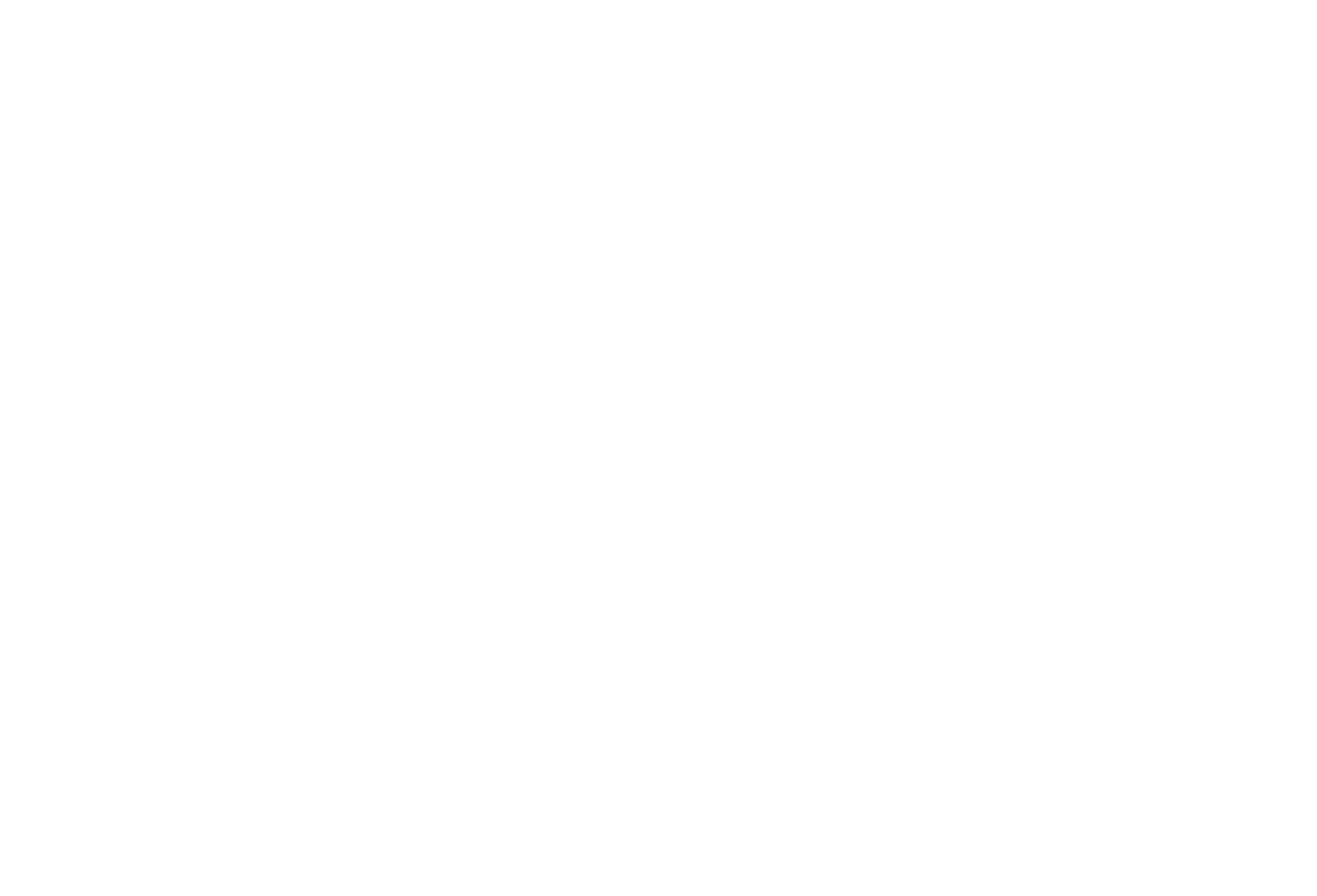 Bridges International Film Festival — Official Selection 2024